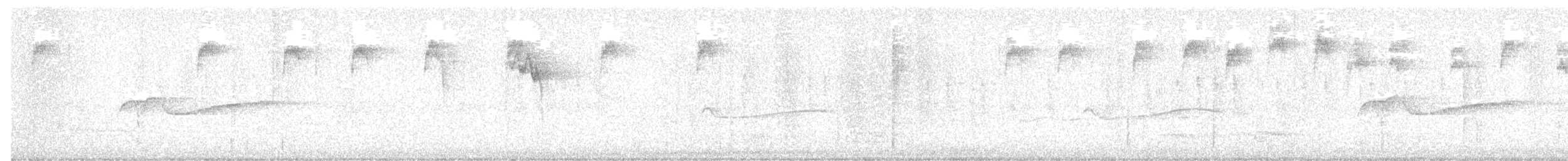 Піві лісовий - ML646965426