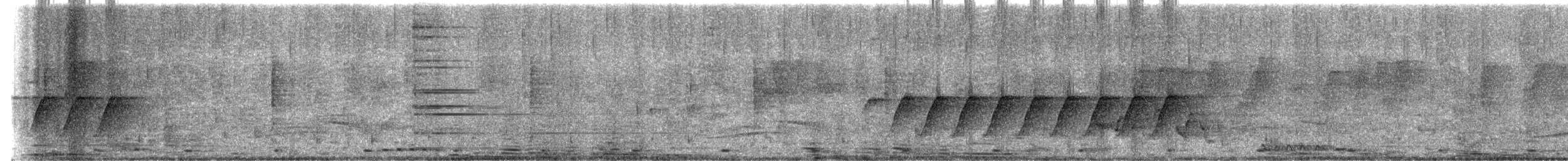 Black-naped Monarch - ML646965474