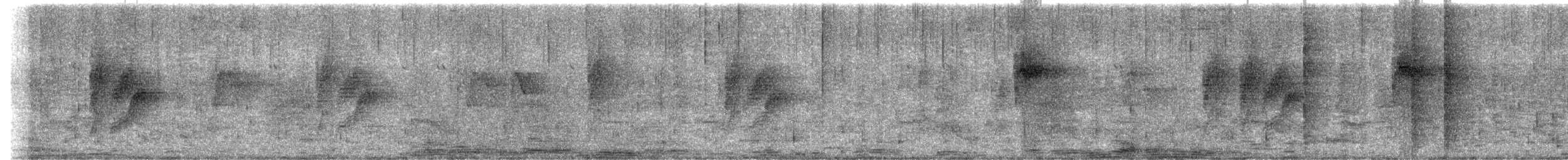 Black-naped Monarch - ML646965495