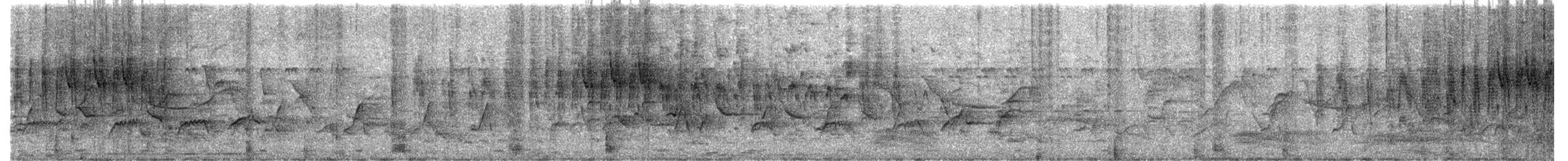 Gray-breasted Prinia - ML646965519