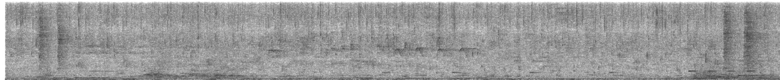 White-rumped Shama - ML646965572