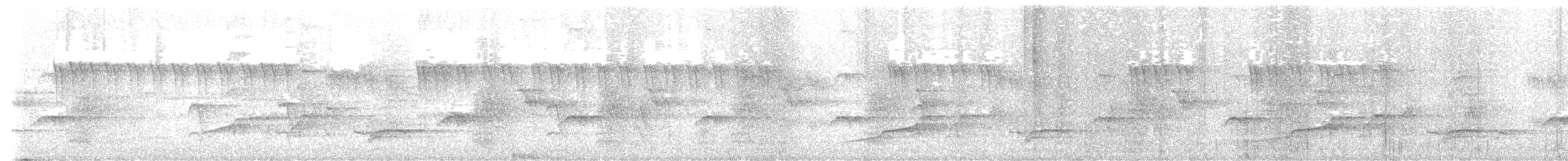 Common Green-Magpie - ML646965691