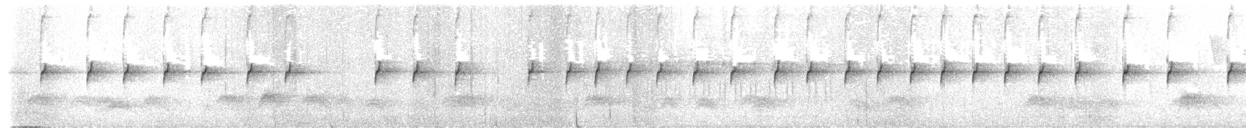 Spotted Elachura - ML646965812