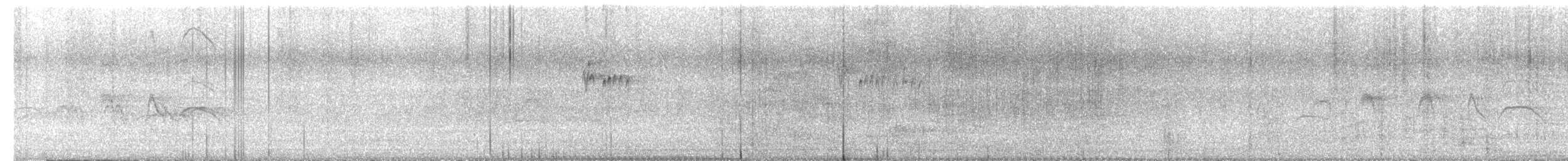 Tropical Kingbird - ML646966494