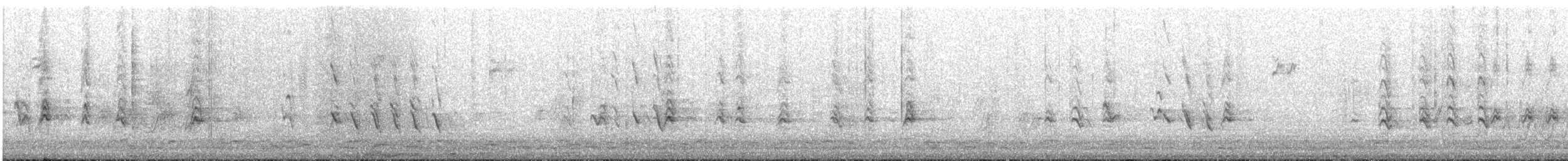 House Finch - ML646966724