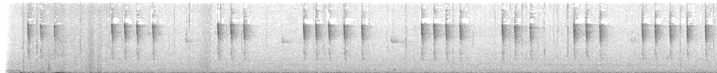 Pacific Wren - ML646967657