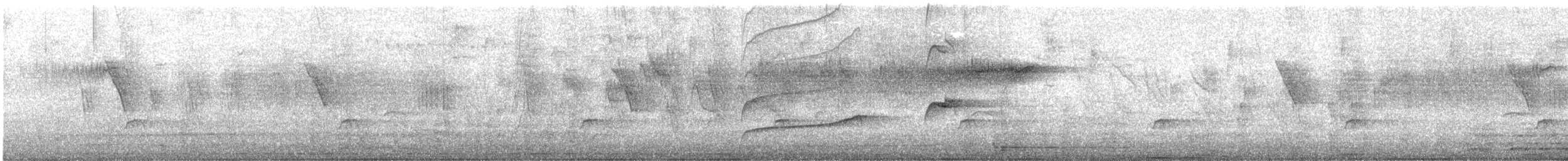 Common Squirrel-Cuckoo - ML646968076