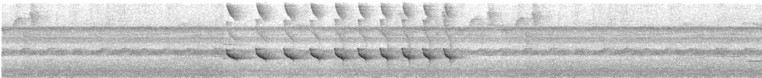 Bare-crowned Antbird - ML646968494