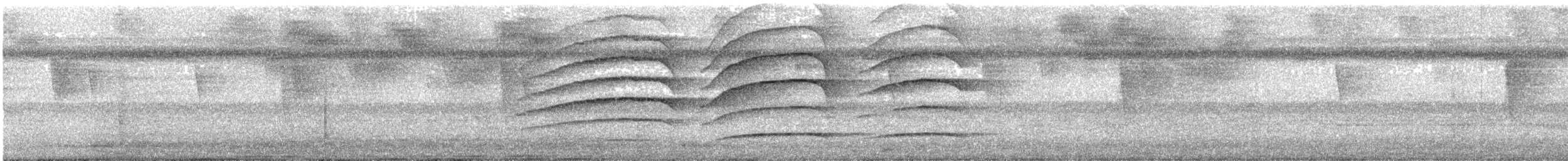 Cotton-headed Tamarin - ML646968567