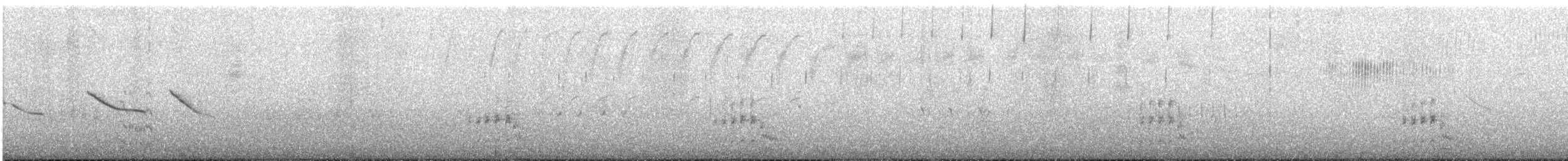 Black Rail - ML646969044