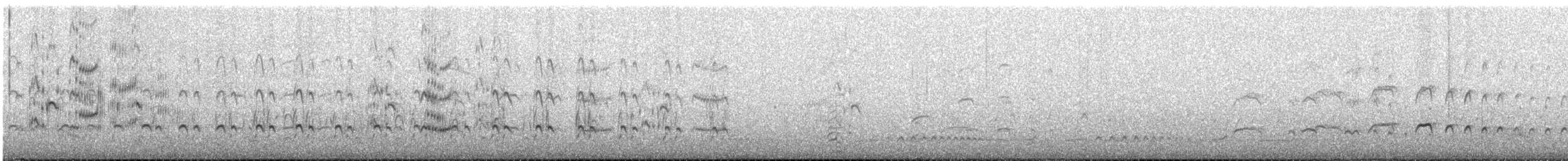 American Oystercatcher - ML646969089