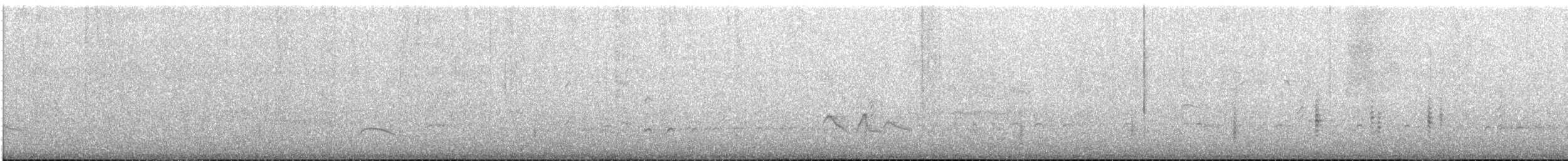 Ticking Doradito - ML646969123