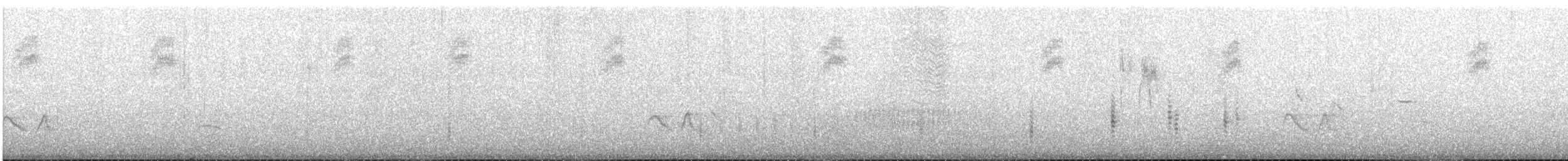 Ticking Doradito - ML646969124