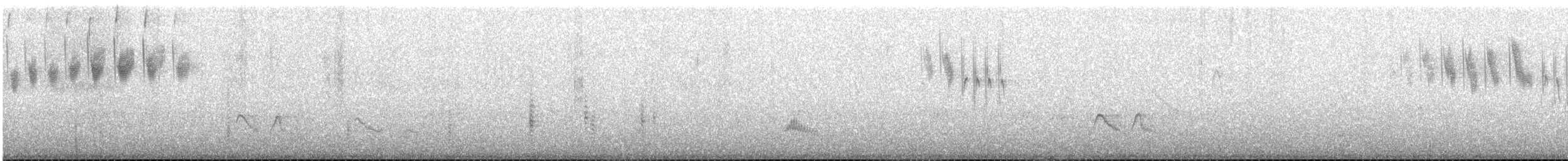 Ticking Doradito - ML646969125