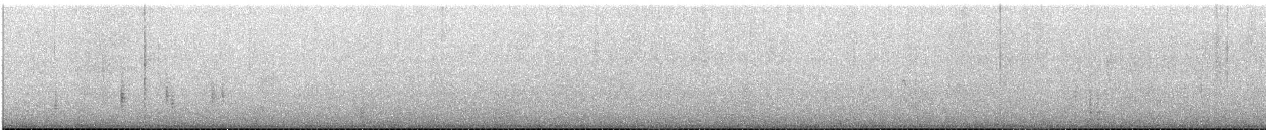 Ticking Doradito - ML646969126