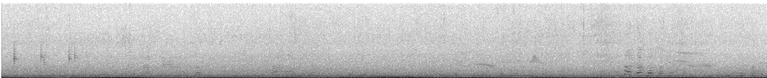 Ticking Doradito - ML646969127