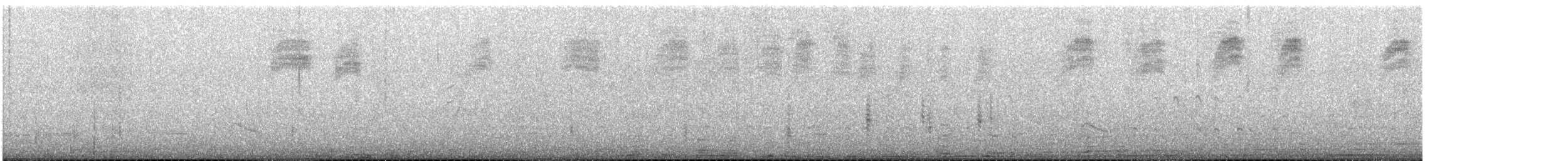 Ticking Doradito - ML646969129