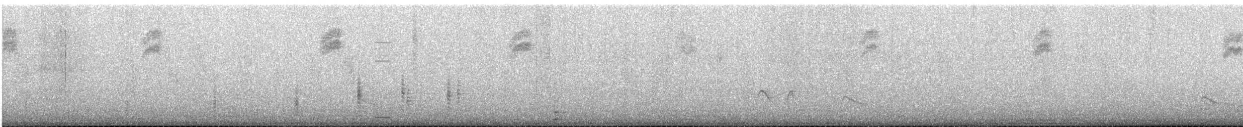 Ticking Doradito - ML646969130