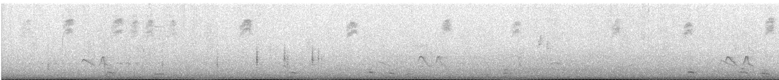 Ticking Doradito - ML646969131