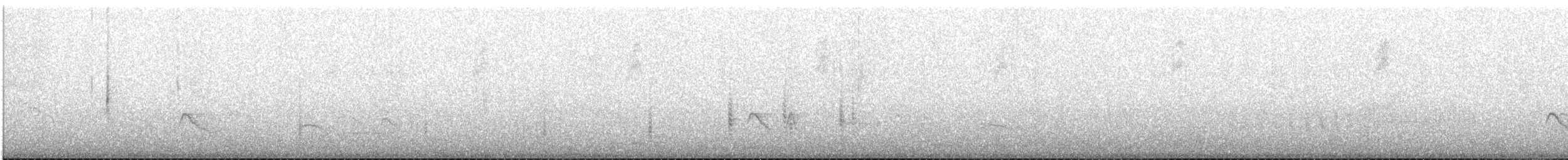 Ticking Doradito - ML646969132