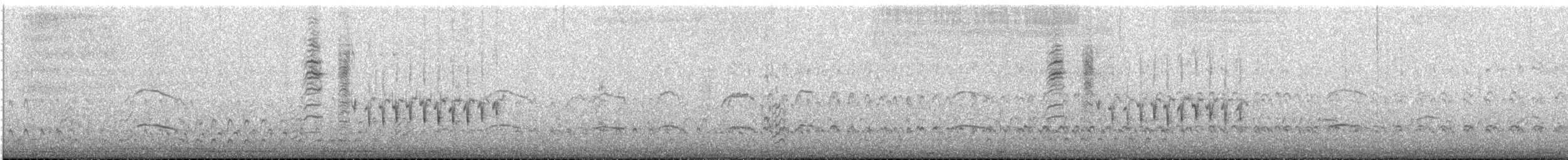 Grass Wren - ML646969149