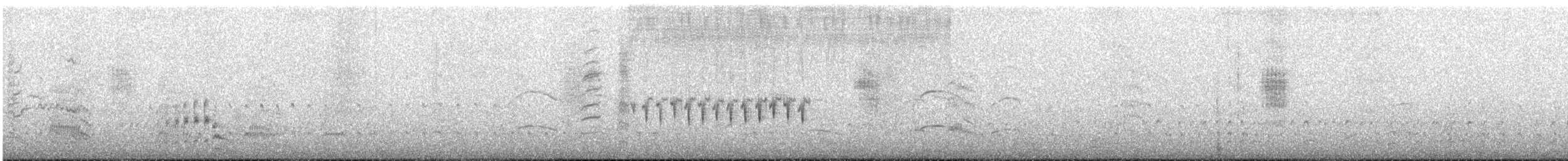 Grass Wren - ML646969150