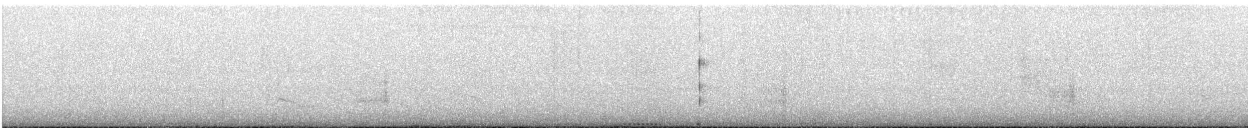 Spectacled Tyrant - ML646969176