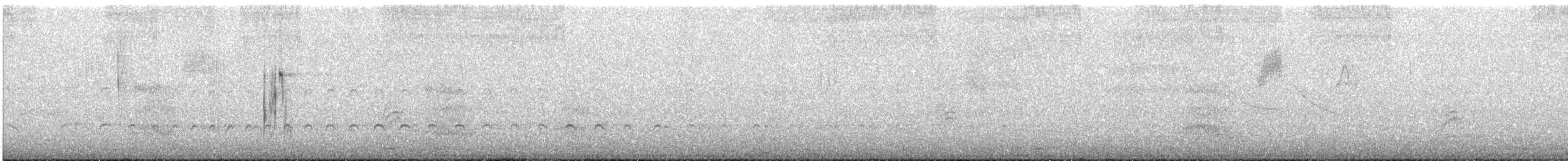 Spectacled Tyrant - ML646969184