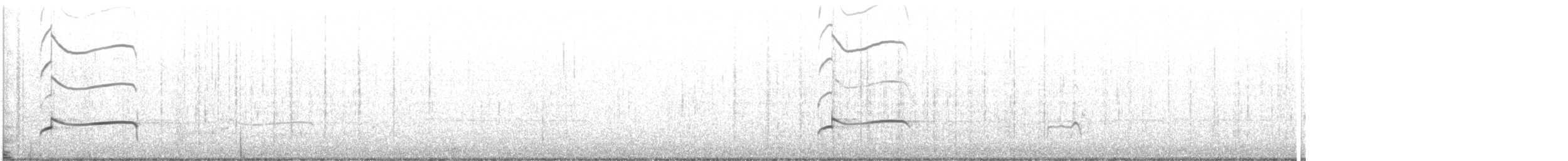 Black-bellied Plover - ML646969195