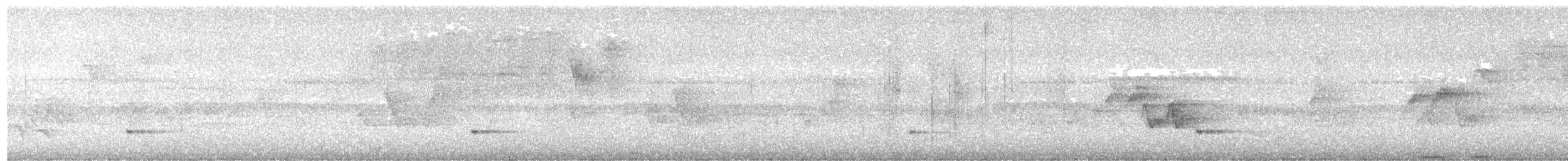 Small-billed Tinamou - ML646969997