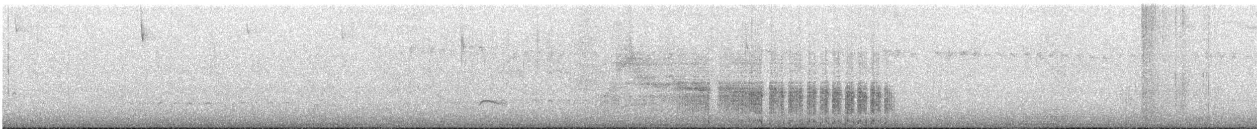 Black Rail - ML646970291