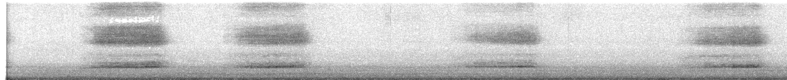 Eastern Barn Owl - ML646970375