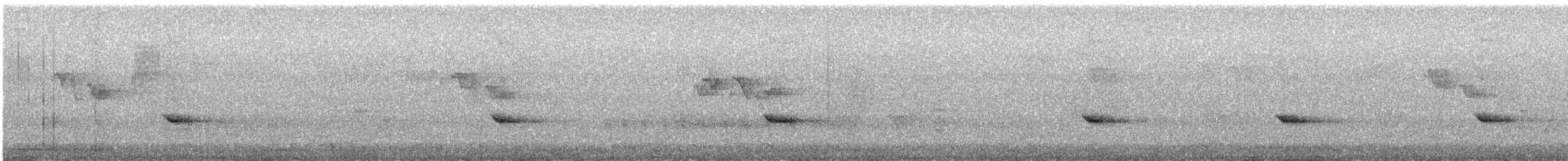 White-browed Shrike-Babbler (Blyth's) - ML646971305