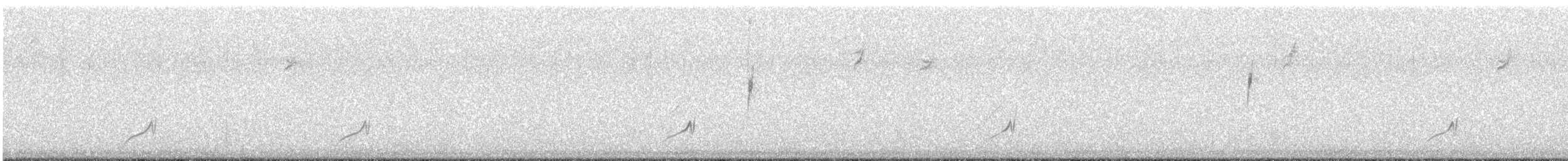 LeConte's Thrasher - ML646971762