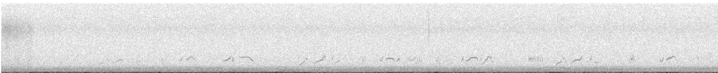 LeConte's Thrasher - ML646971770