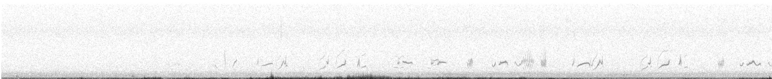 LeConte's Thrasher - ML646971778