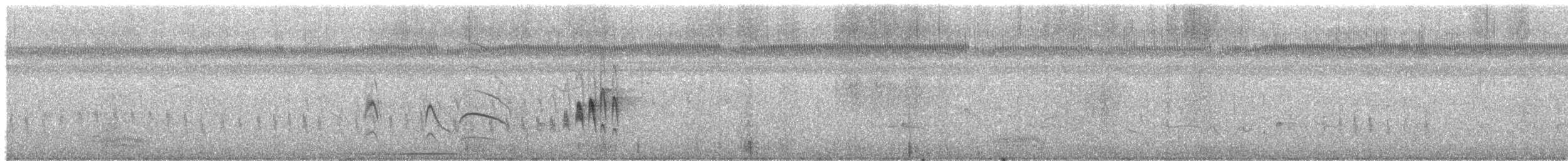 Mouse-colored Tyrannulet - ML646971919