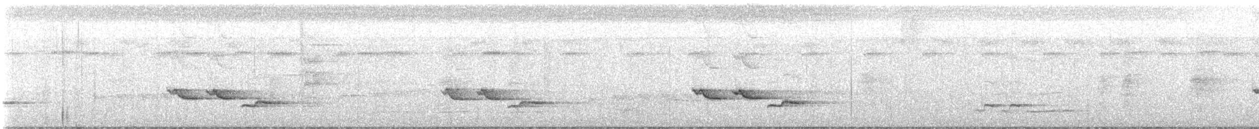 White-breasted Wood-Wren (Cherrie's) - ML646972268