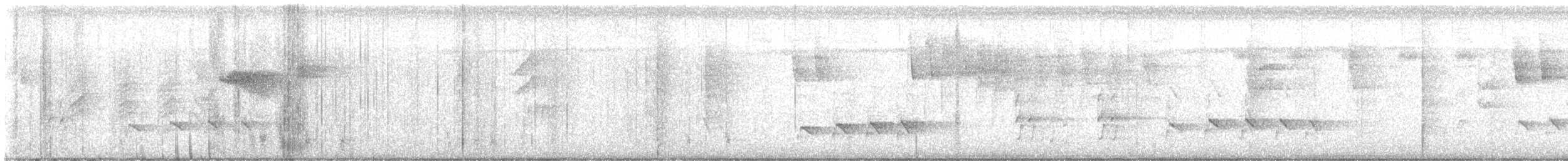 Dusky Antbird - ML646972758