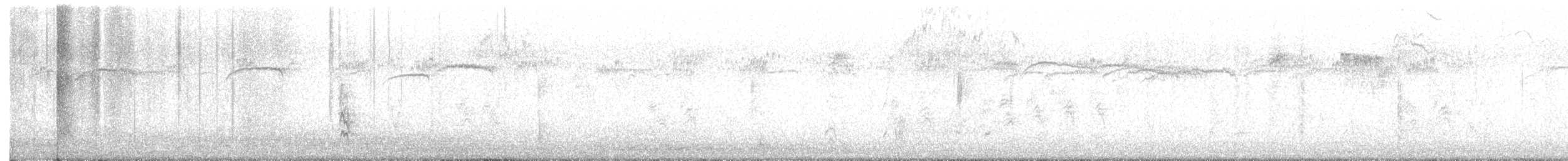 Кедровый свиристель - ML646973083