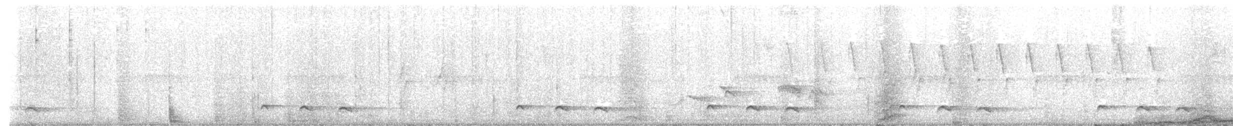 Cuco Solitario - ML646973254