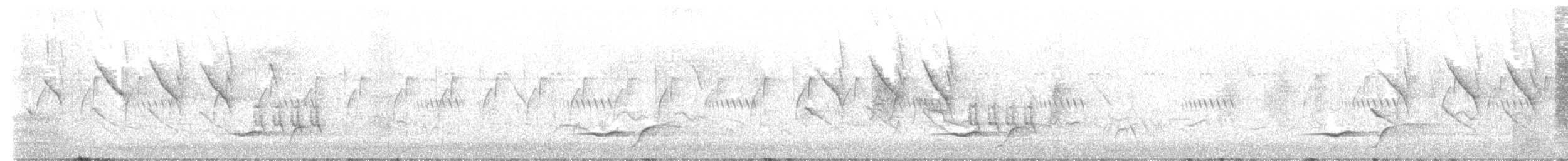 Cistícola Cascabel - ML646973283