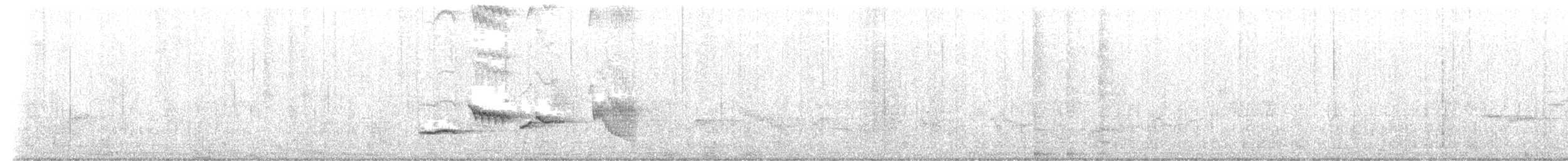 Zorzal de Kurrichane - ML646973315