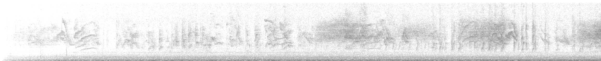 Pine Siskin - ML646973750