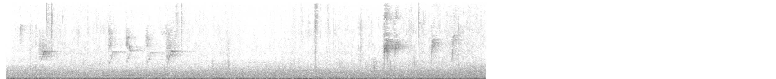 Zozo arrunta - ML646974662