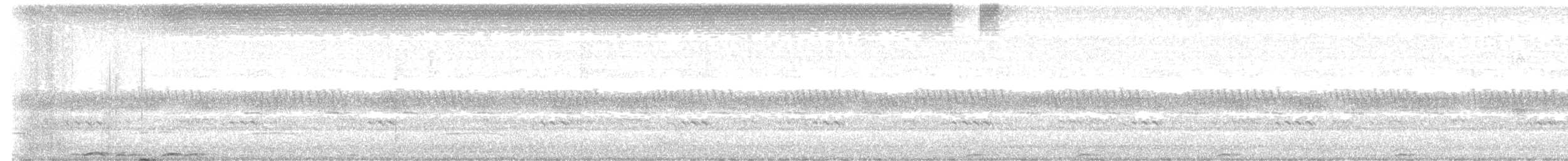 Cárabo Africano - ML646975339