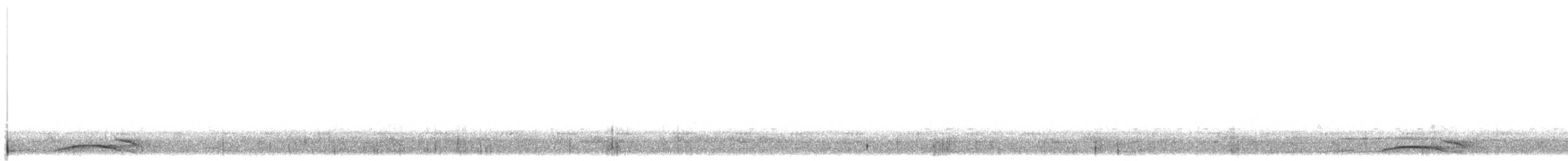 West African Pied Hornbill - ML646975432