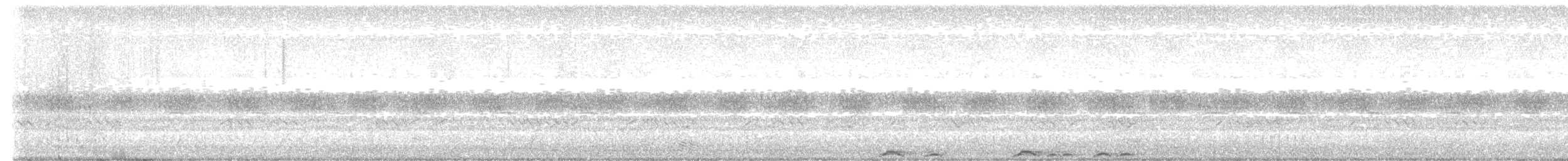 Cárabo Africano - ML646975481