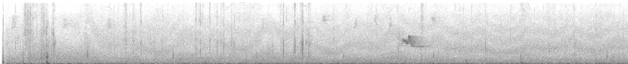 Blue-headed Vireo - ML646975764