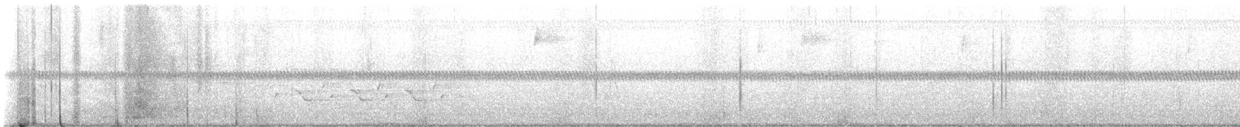 Carolina Wren - ML646975846